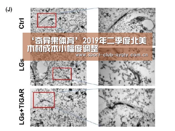 ‘奇异果体育’2019年二季度北美木材成本小幅度调整(图2) 奇异果体育